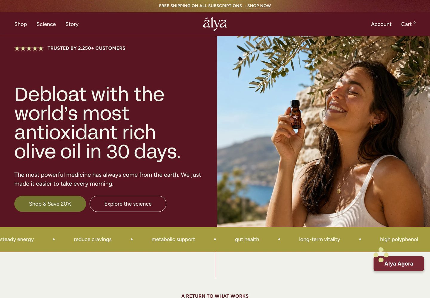 Desktop homepage of Alya Health