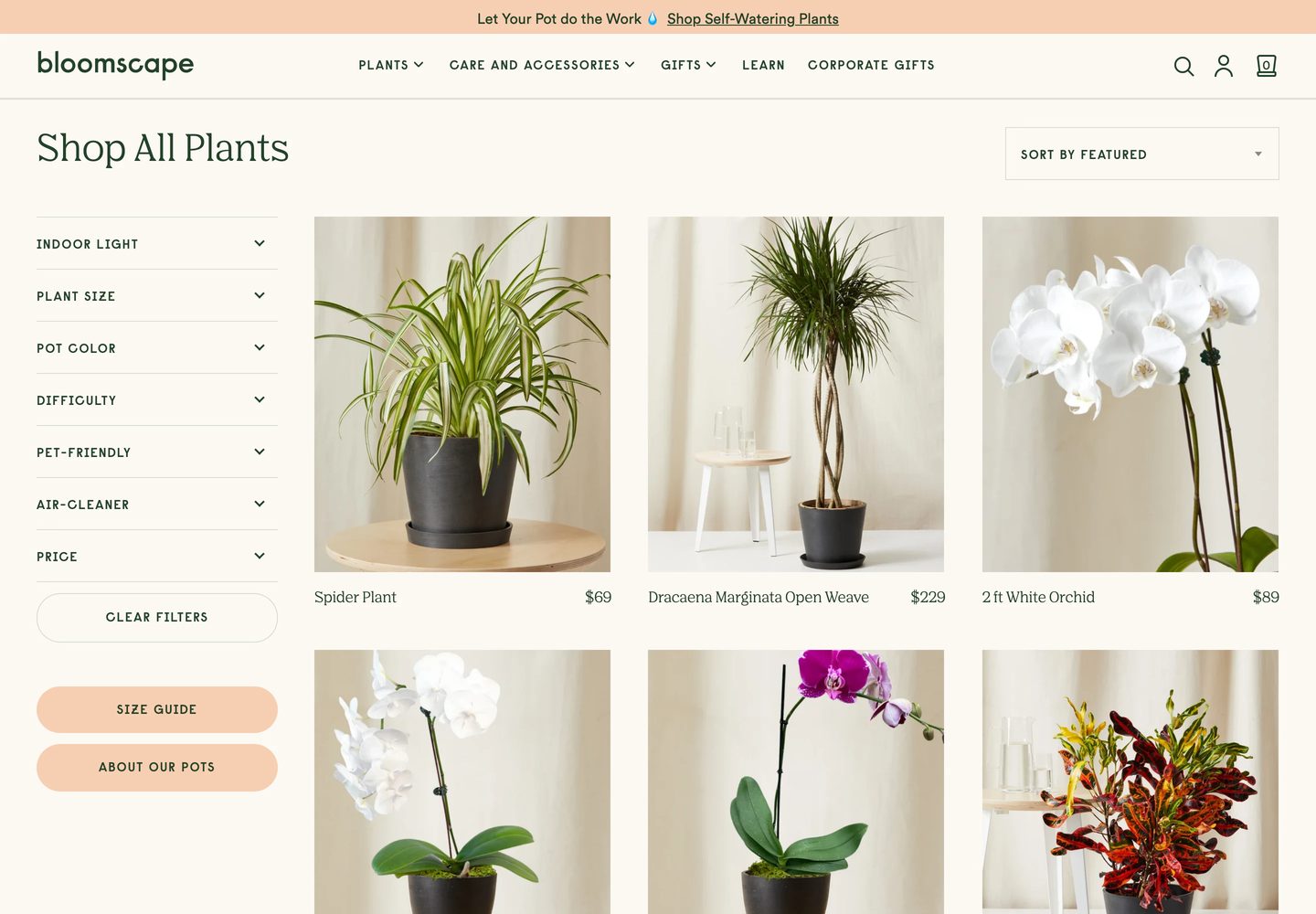 Desktop catalog of Bloomscape