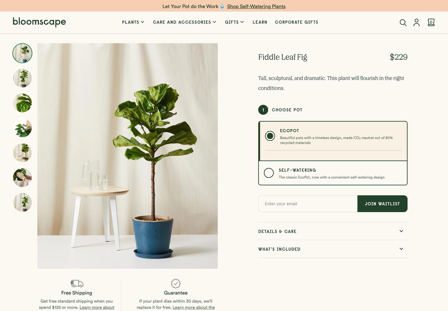 Desktop product page of Bloomscape