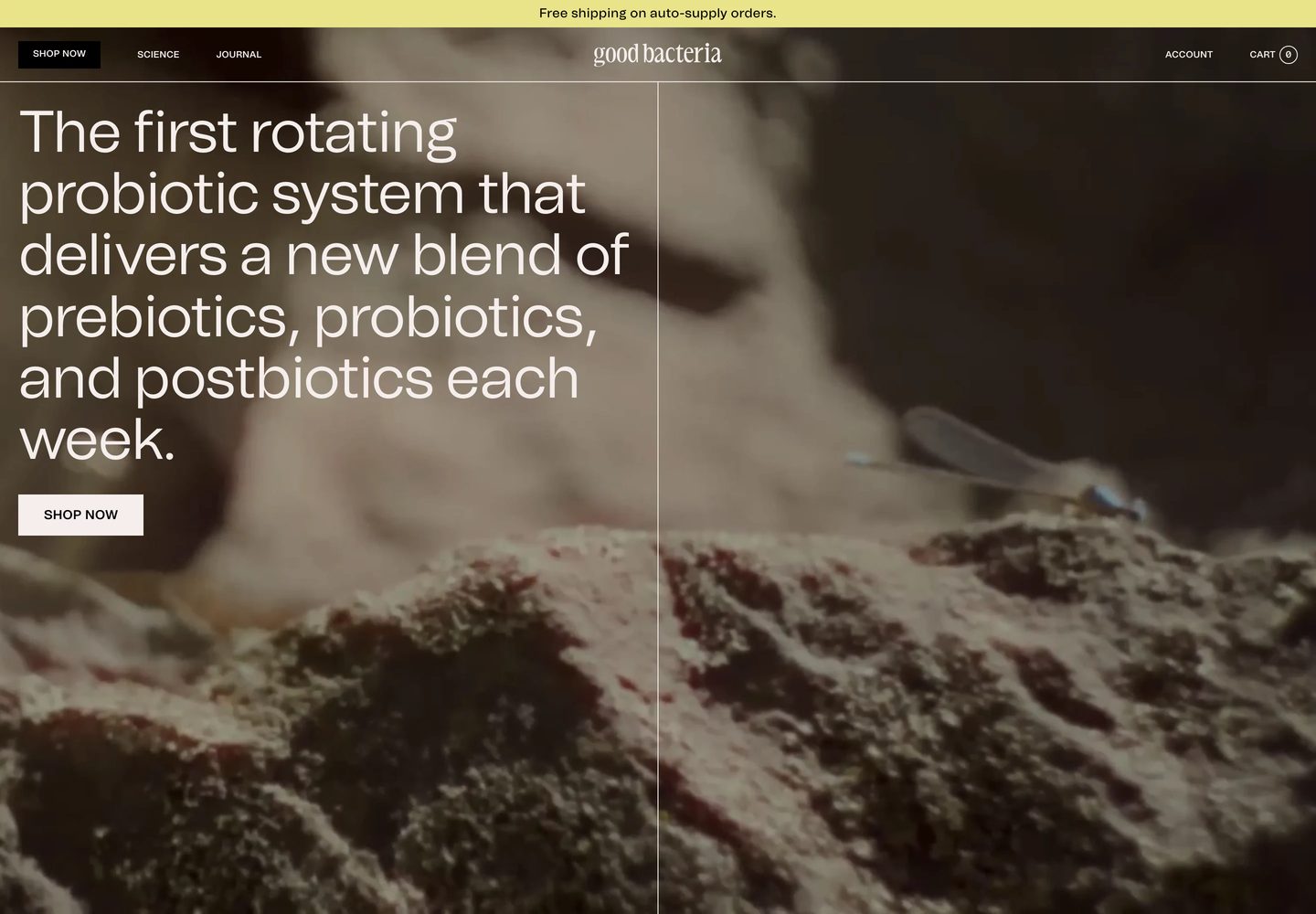 Desktop homepage of Good Bacteria