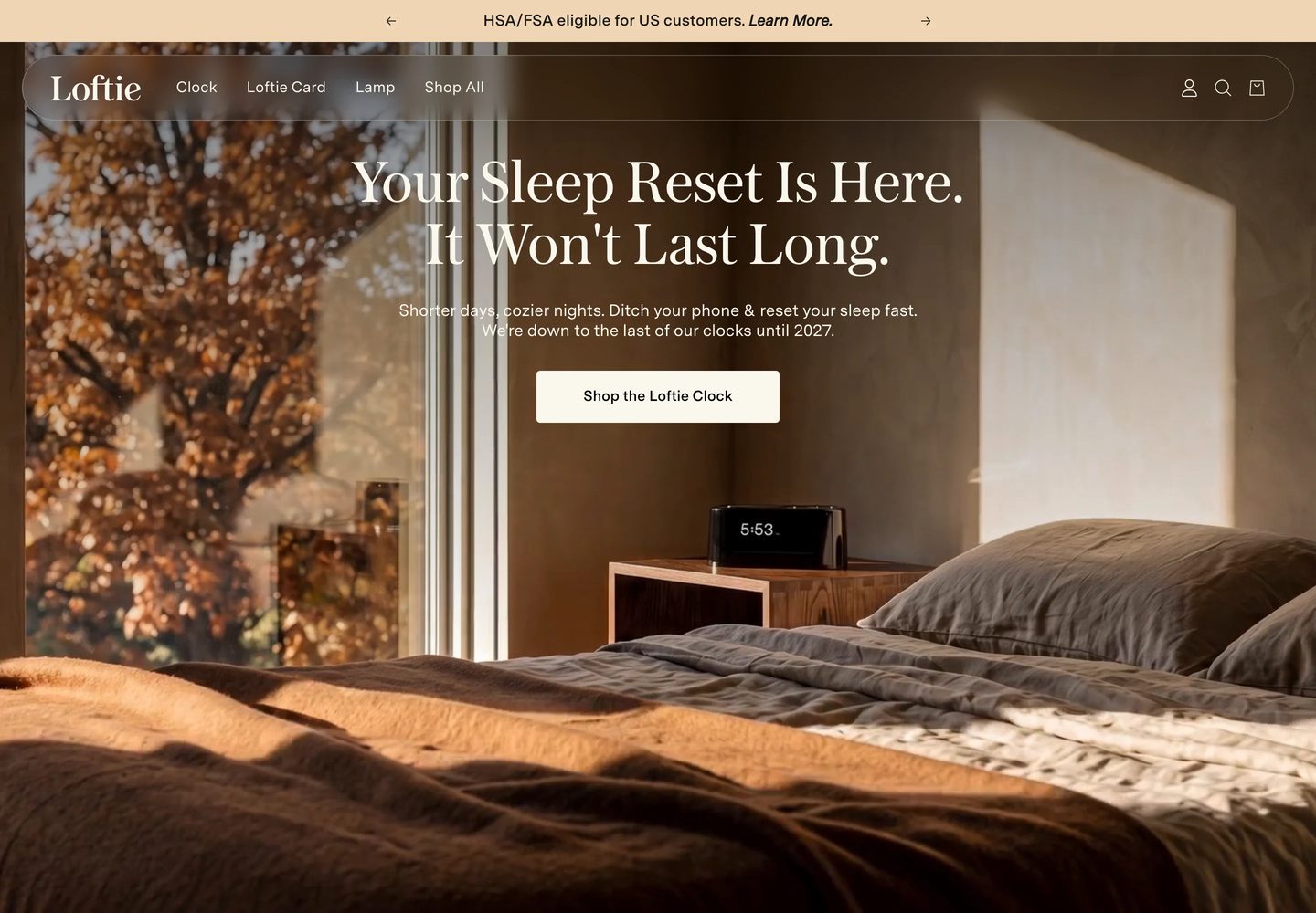 Desktop homepage of Loftie