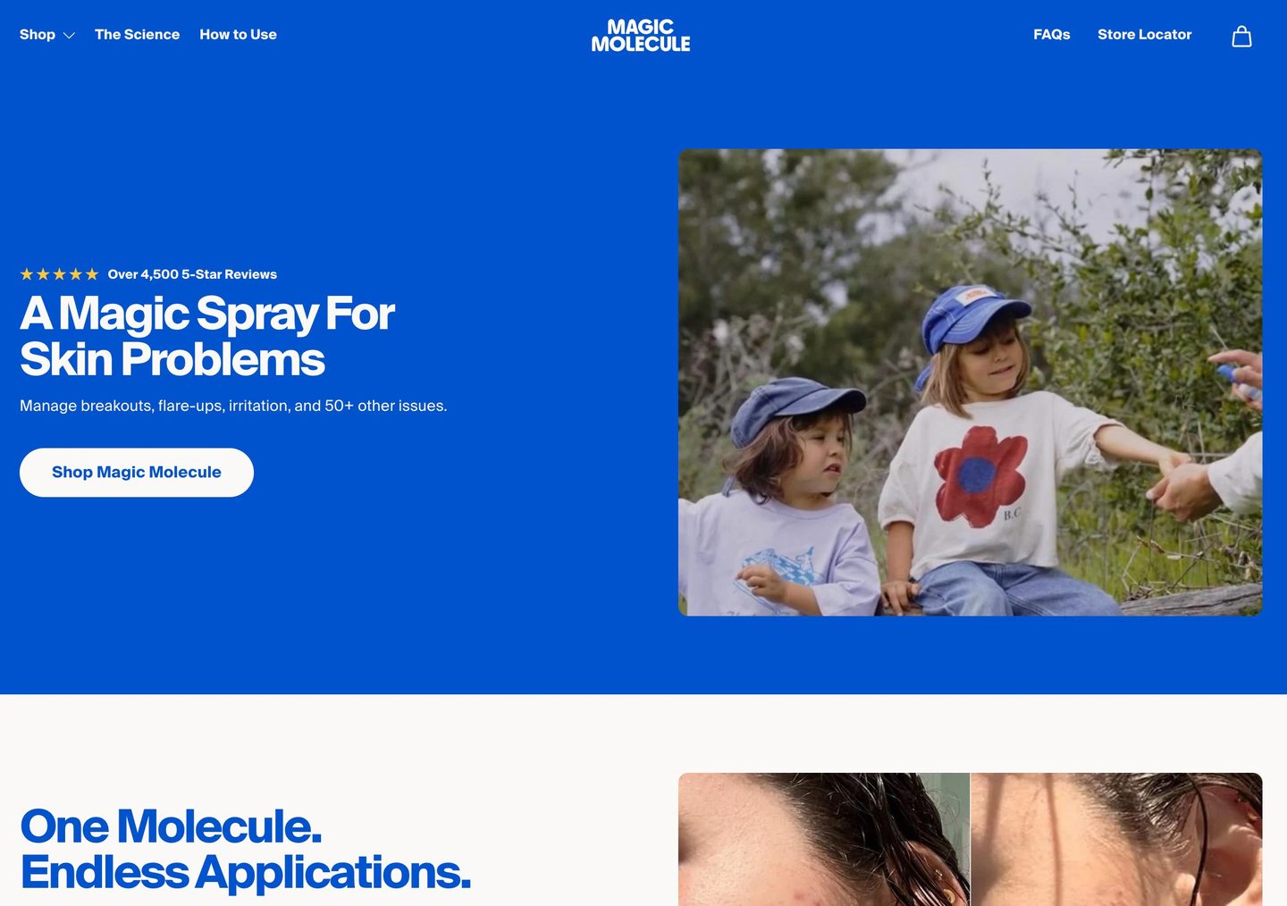 Desktop homepage of Magic Molecule