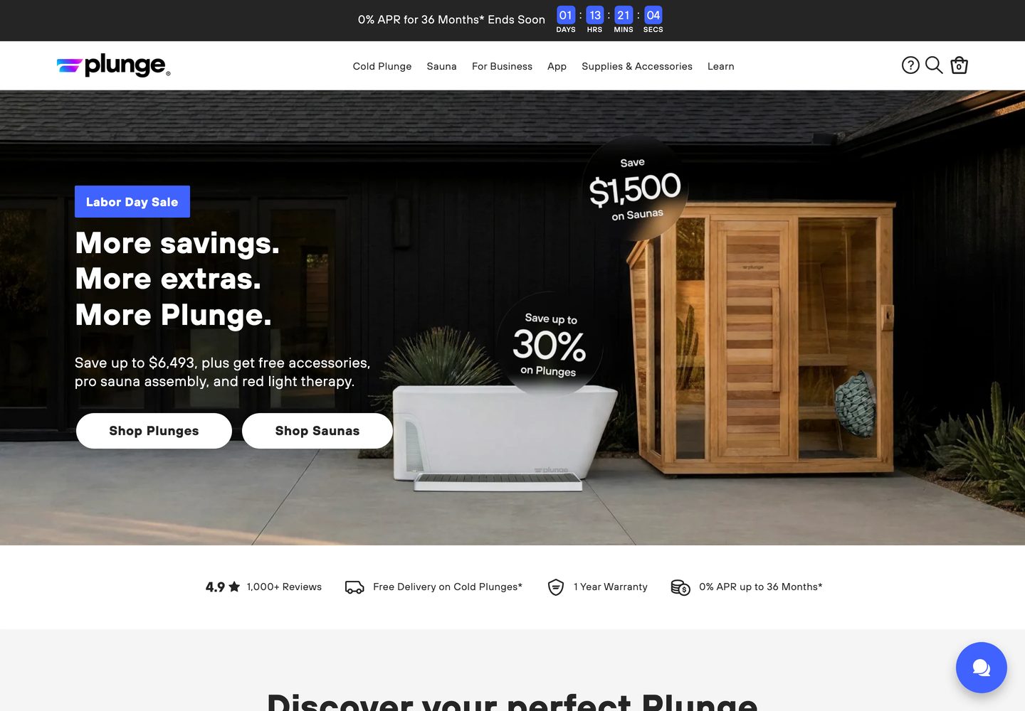 Desktop homepage of Plunge