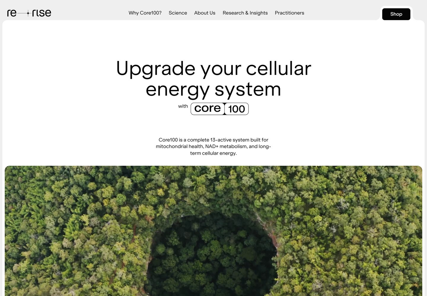 Desktop homepage of Rerise