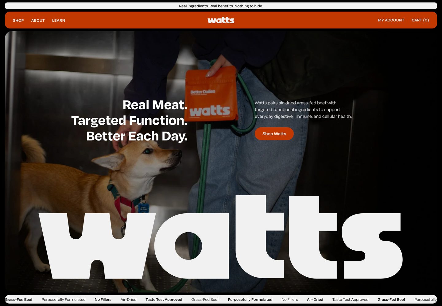 Desktop homepage of Watts