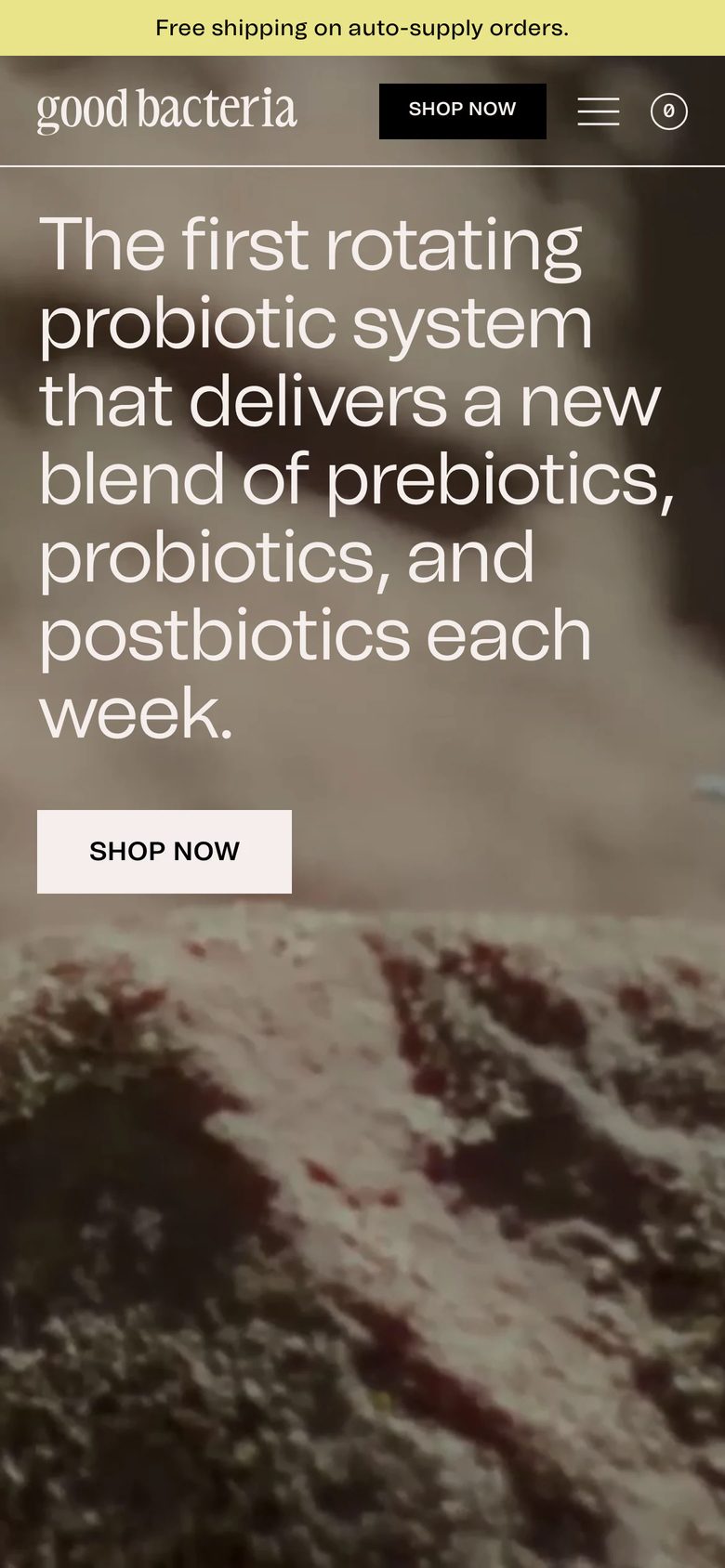 Mobile homepage of Good Bacteria