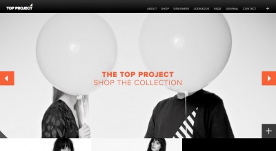 The Top Project